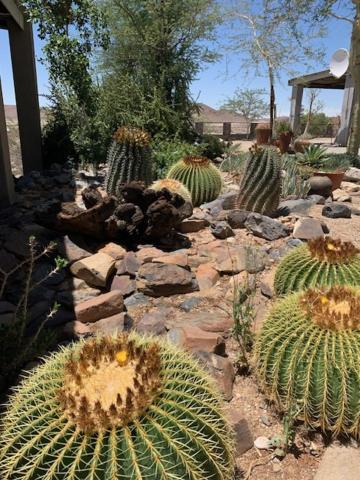 3 Aloes Guesthouse Uis 外观 照片